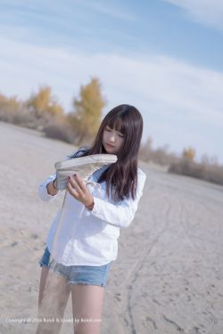 野兽们的战争