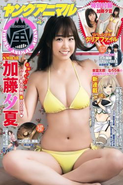 美女的胸部